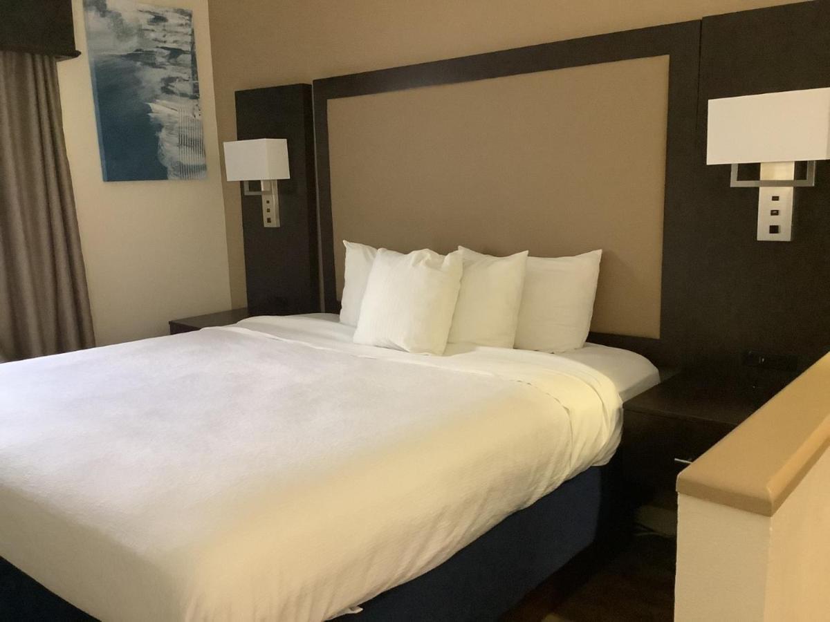 Best Western Plus מדיסון מראה חיצוני תמונה